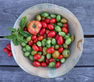 Bowl of different colored tomatoes Bowl of different colored tomatoes