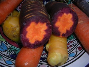 Colorful Carrot roots Colorful carrot roots