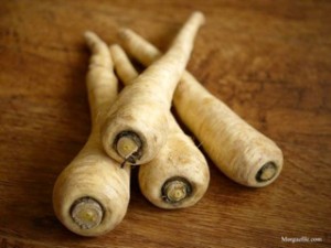 parsnip Parsnip roots on table