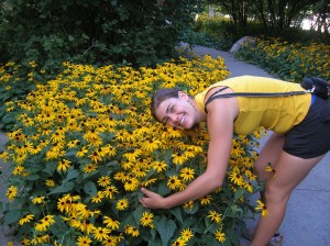 rudbeckia