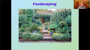 Diverse edible landscape with vegetables and flowers in Foodscaping Webinar