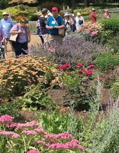 Gardeners viewing Display Gardens at White Flower Farm, Ct