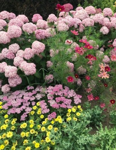 Display Gardens at White Flower Farm, Ct