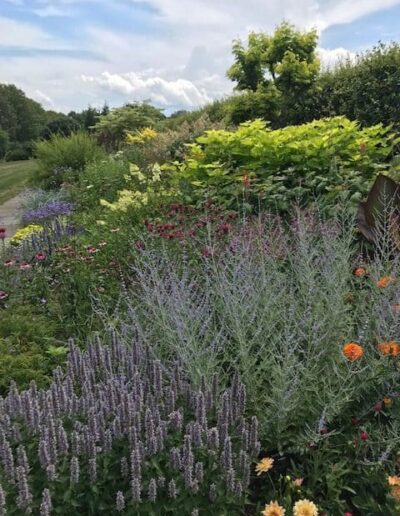 Display Gardens at White Flower Farm, Ct