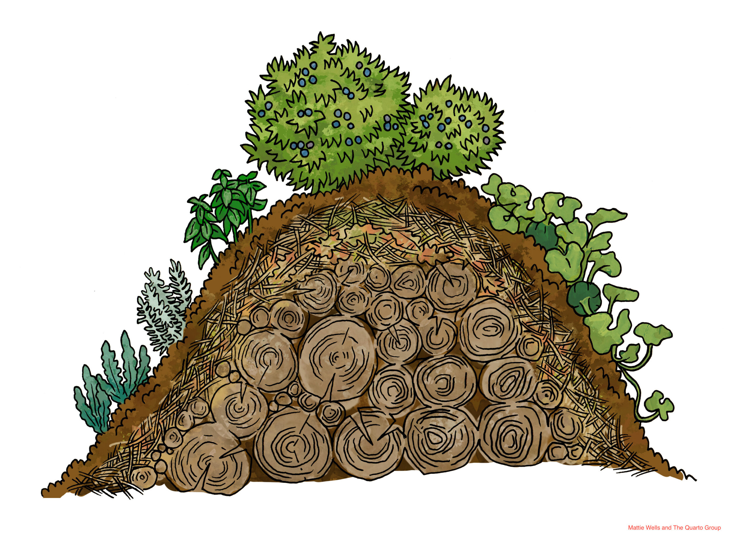 Illustration pf hugelkultur mound bed