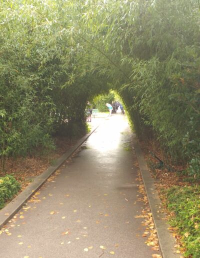 Bamboo Tunnel in Paris elevated garden