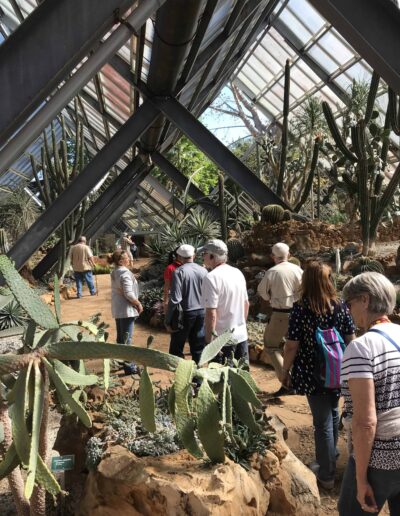 Cactus Greenhouse in Cuba