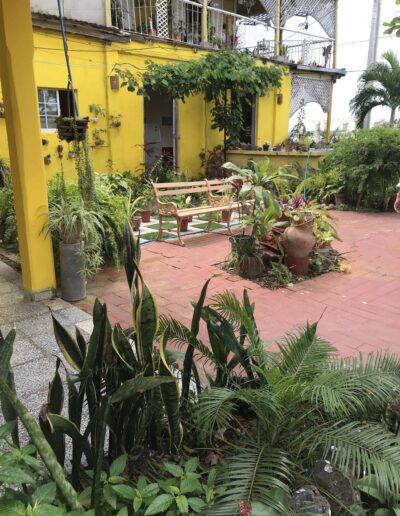 Courtyard Garden in Cuba