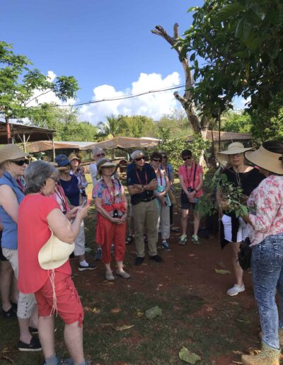 Gardeners at Coop Vegetable Garden in Havana, Cuba listening to a talk