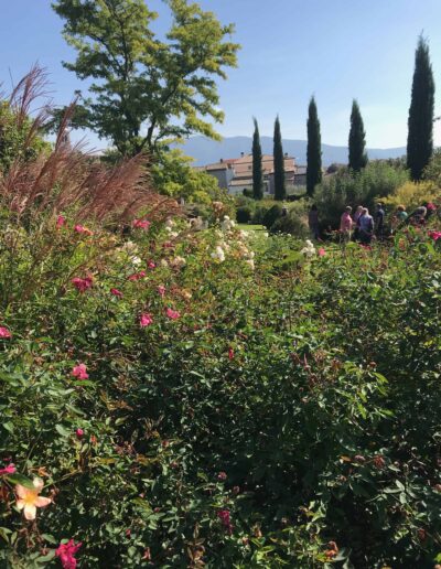 Private Garden in Italy