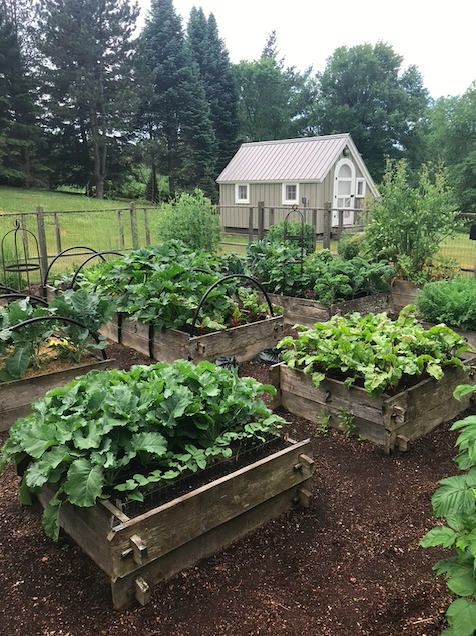 Raised bed garden with greenhouse