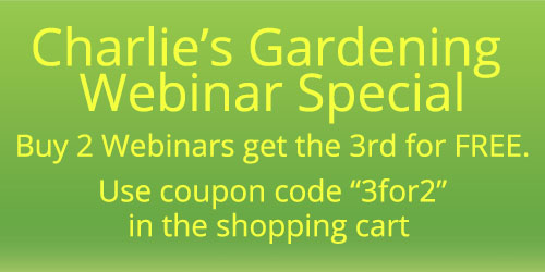 Webinar Special