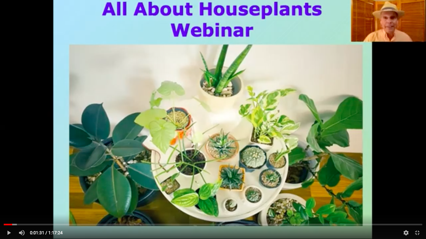 Variety of houseplants in All About Houseplants Webinar