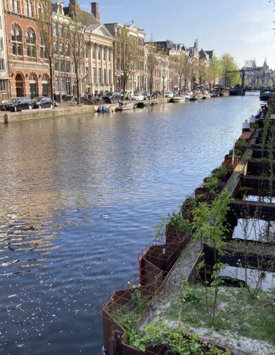 Canal in Amsterdam, Holland with gardens and houses on either side
