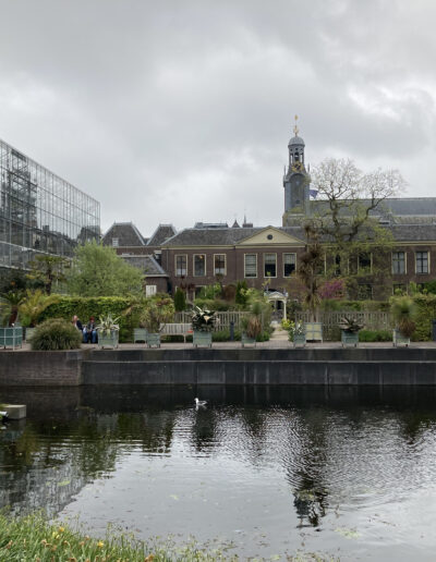 Pond, greenhouse and buildings with gardens in Holland