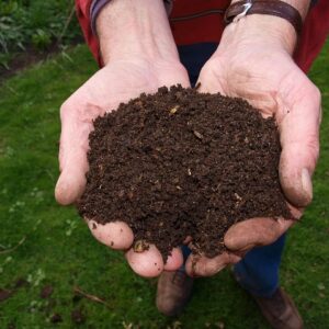 Hands holding compost