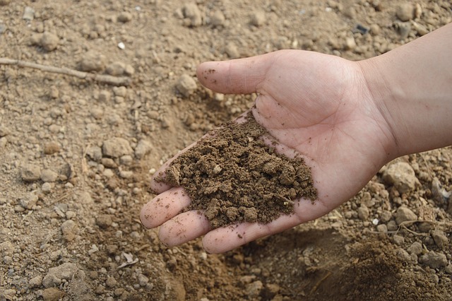 Hand holding some soil