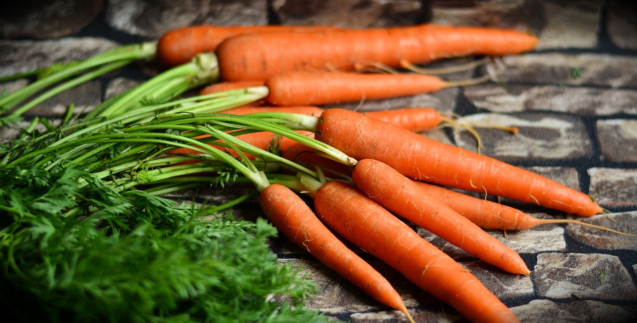 Orange carrots harvested