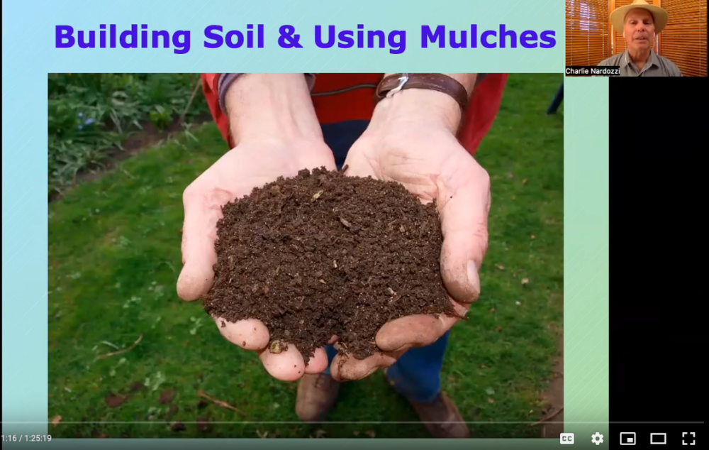 Building Soils and using mulches webinar