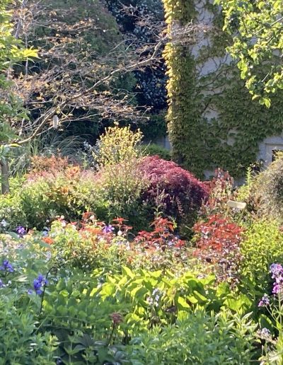 Irish Flower Garden
