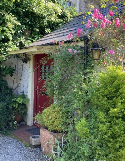 Garden shed with plants around it in Ireland