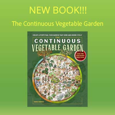 The Complete Guide To No Dig Gardening